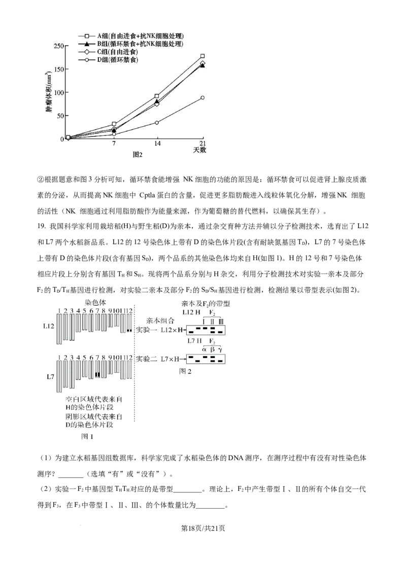 四川省乐山市第一中学校高2022级高三二模测试生物答案_2025年3月_250316四川省乐山市第一中学校高2022级高三二模测试（全科）_四川省乐山市第一中学校高2022级高三二模测试生物