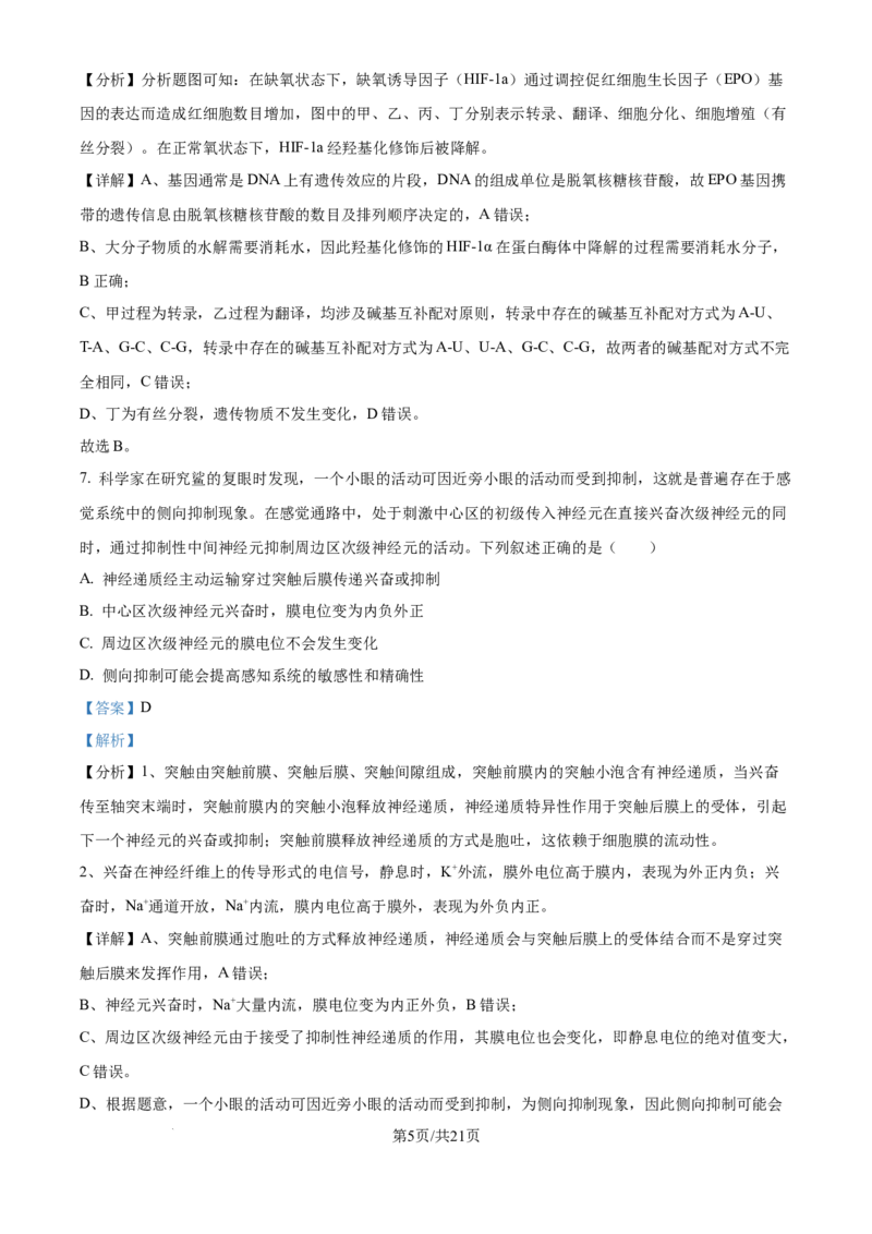 四川省乐山市第一中学校高2022级高三二模测试生物答案_2025年3月_250316四川省乐山市第一中学校高2022级高三二模测试（全科）_四川省乐山市第一中学校高2022级高三二模测试生物