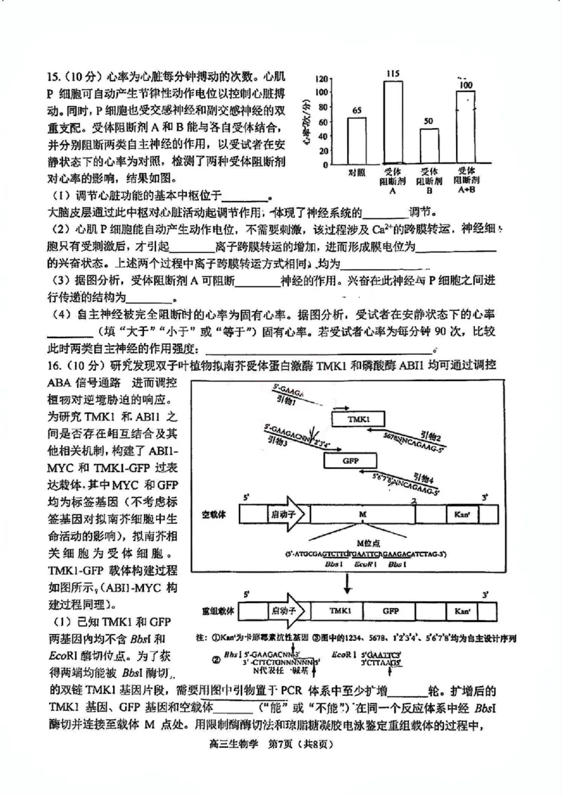 天津市南开区2024-2025学年度第二学期高三年级质量监测（一）生物_2025年4月_250406天津市南开区2024-2025学年度第二学期高三年级质量监测（一）（全科）