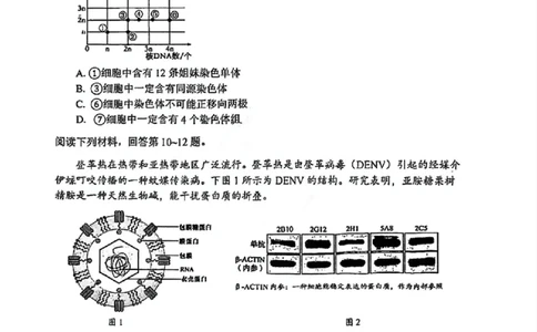 天津市南开区2024-2025学年度第二学期高三年级质量监测（一）生物_2025年4月_250406天津市南开区2024-2025学年度第二学期高三年级质量监测（一）（全科）