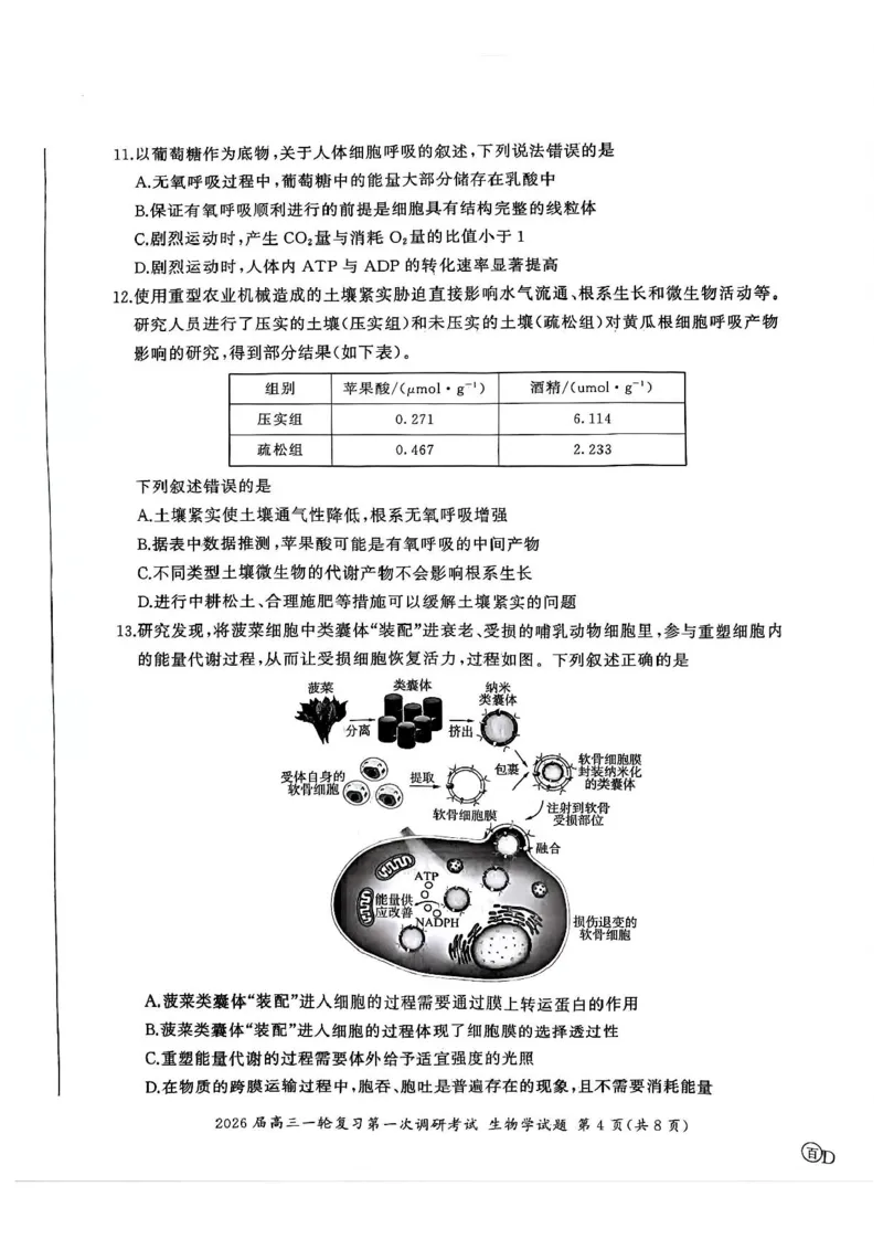 生物（S）_2025年10月_2510182026届百师联盟高三上学期第一次调研考试（10月）（全科）_2026届百师联盟高三上学期第一次调研考试生物试卷（含答案）