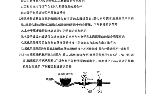 生物（S）_2025年10月_2510182026届百师联盟高三上学期第一次调研考试（10月）（全科）_2026届百师联盟高三上学期第一次调研考试生物试卷（含答案）