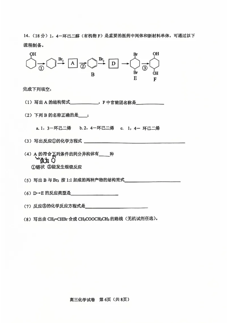 天津市河东区2024-2025学年高三上学期期末质量检测化学+答案_2025年1月_250113天津市河东区2024-2025学年高三上学期期末质量检测（全科）