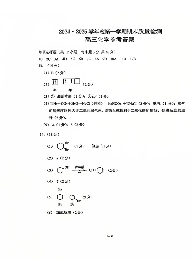 天津市河东区2024-2025学年高三上学期期末质量检测化学+答案_2025年1月_250113天津市河东区2024-2025学年高三上学期期末质量检测（全科）