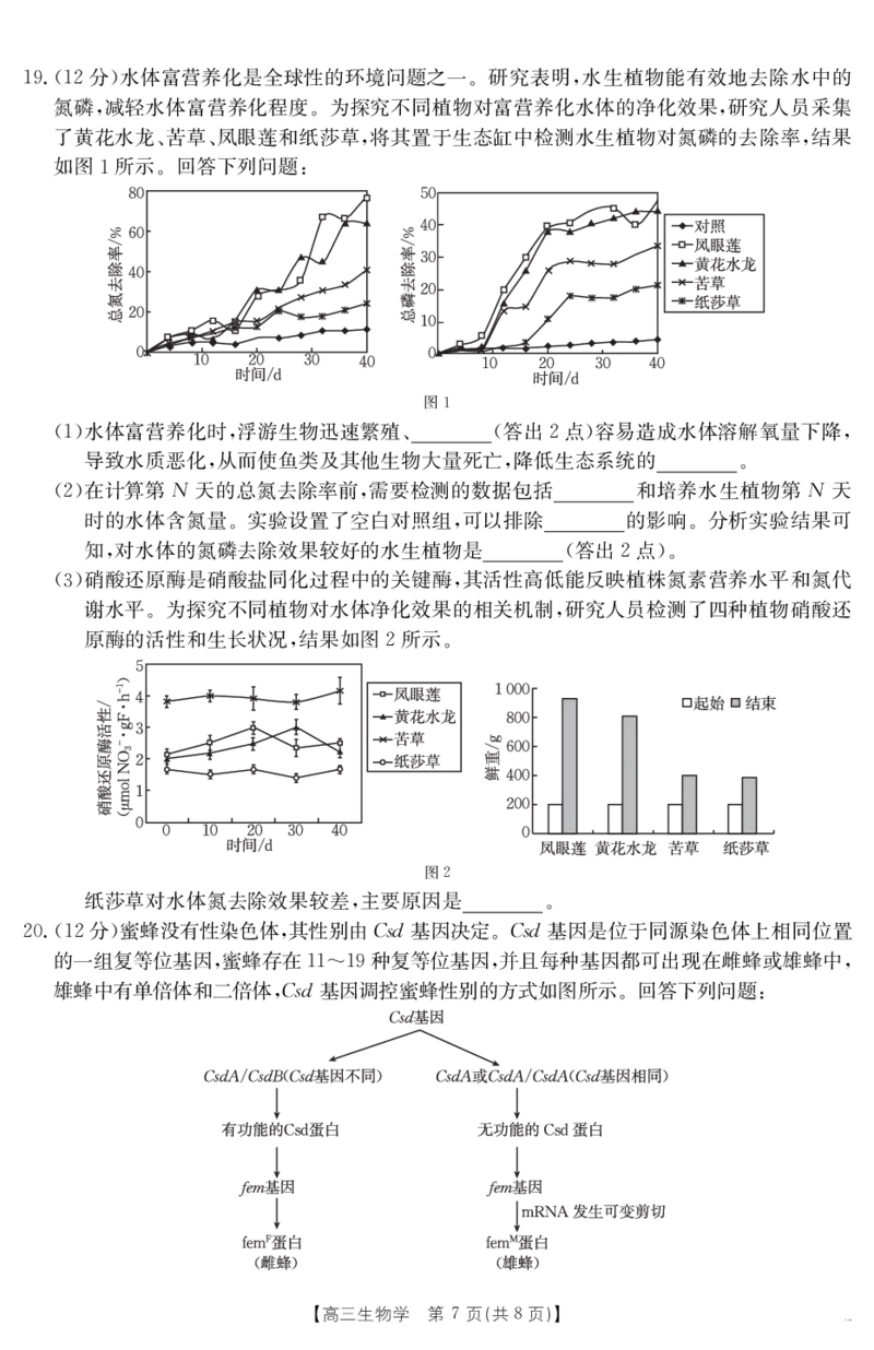 生物学江西省2025届高三下学期4月联考（金太阳25-450C）_2025年5月_0502江西省2025届金太阳高三下学期4月联考（25-450C）（全科）