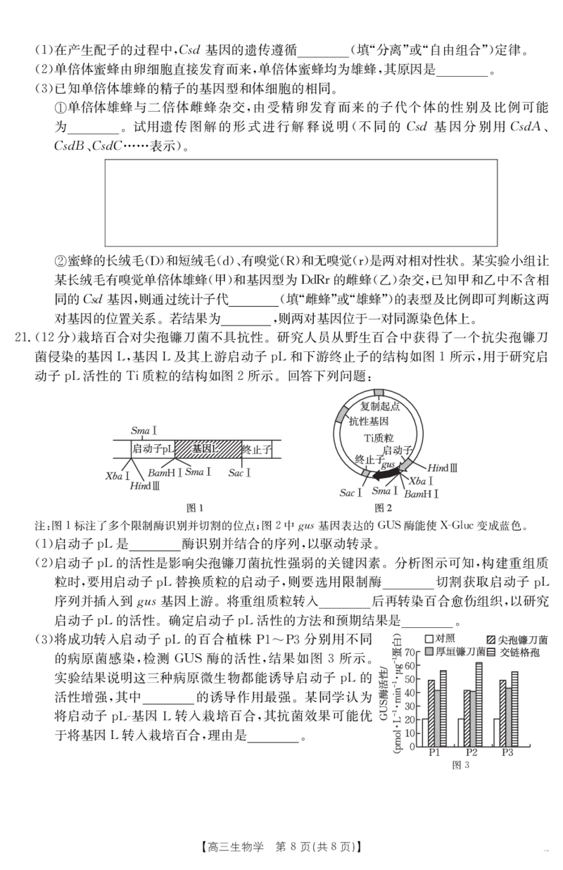 生物学江西省2025届高三下学期4月联考（金太阳25-450C）_2025年5月_0502江西省2025届金太阳高三下学期4月联考（25-450C）（全科）