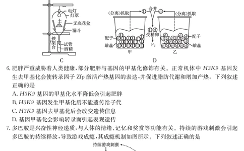 生物学江西省2025届高三下学期4月联考（金太阳25-450C）_2025年5月_0502江西省2025届金太阳高三下学期4月联考（25-450C）（全科）