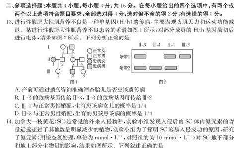 生物学江西省2025届高三下学期4月联考（金太阳25-450C）_2025年5月_0502江西省2025届金太阳高三下学期4月联考（25-450C）（全科）