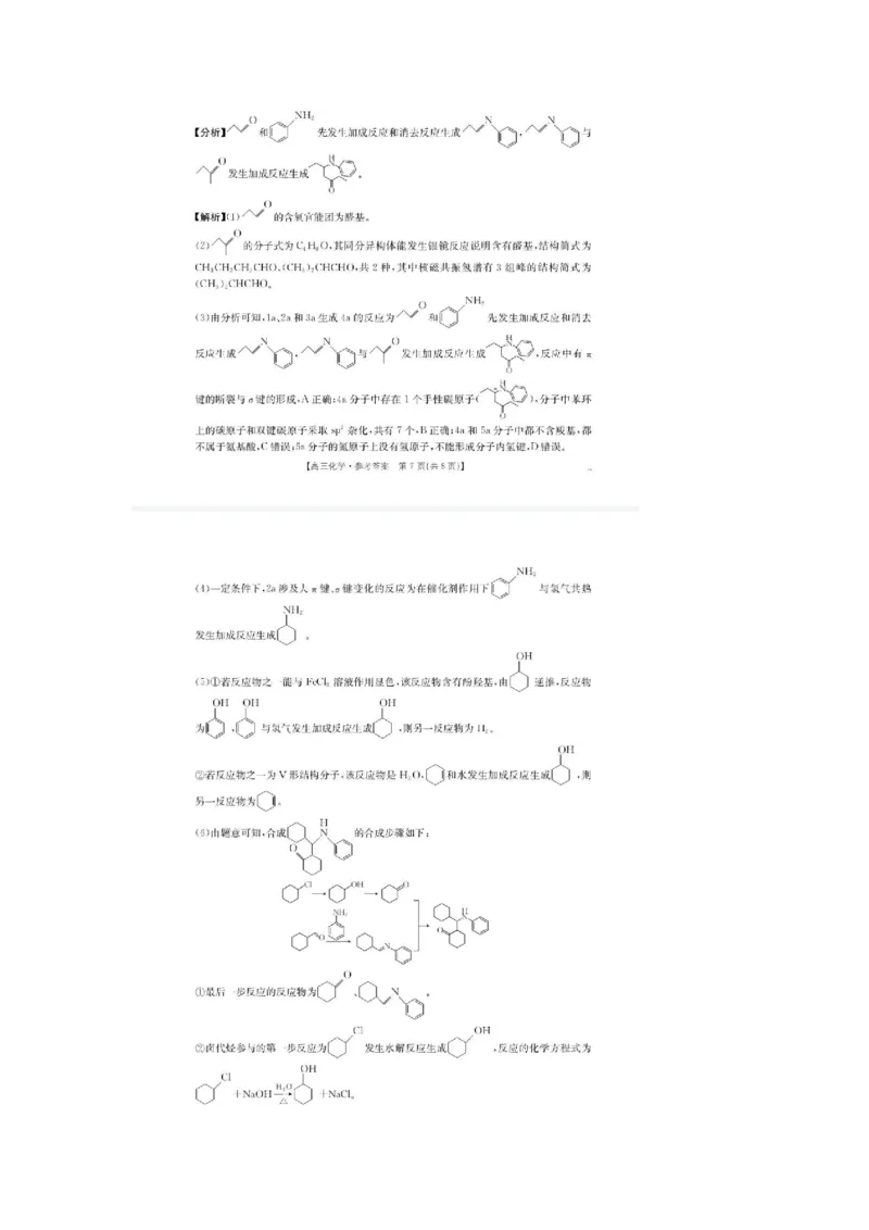 广东省金太阳2026届高三8月开学联考（05C）化学答案_2025年8月_2508272026届广东金太阳高三8月开学联考（05C）（全科）_2026届广东金太阳高三8月开学联考（05C）化学（含答案）