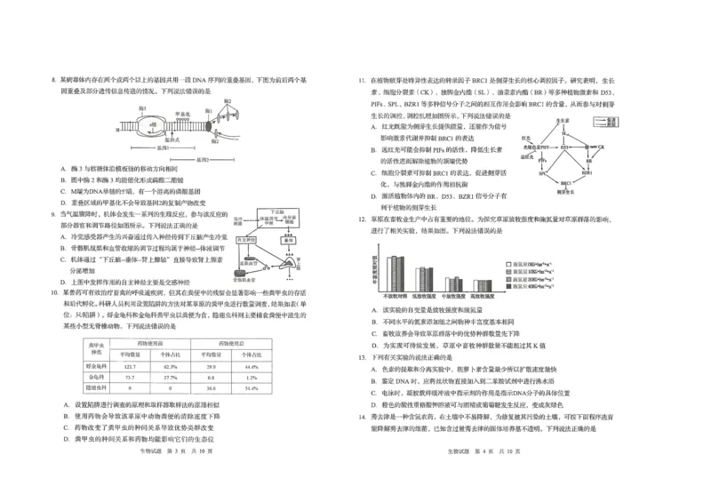 生物试题_2025年9月_250917山东省青岛市2026届高三上学期期初调研检测（全科）_山东省青岛市2026届高三上学期期初调研检测生物试卷（含答案）