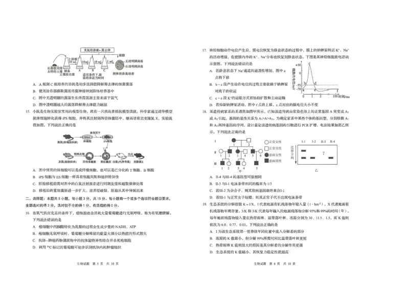 生物试题_2025年9月_250917山东省青岛市2026届高三上学期期初调研检测（全科）_山东省青岛市2026届高三上学期期初调研检测生物试卷（含答案）