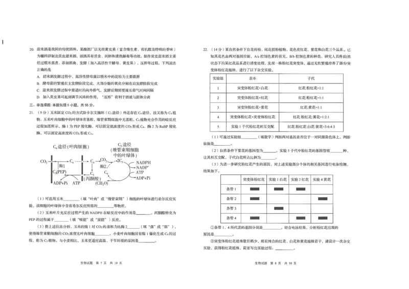 生物试题_2025年9月_250917山东省青岛市2026届高三上学期期初调研检测（全科）_山东省青岛市2026届高三上学期期初调研检测生物试卷（含答案）