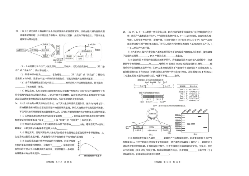 生物试题_2025年9月_250917山东省青岛市2026届高三上学期期初调研检测（全科）_山东省青岛市2026届高三上学期期初调研检测生物试卷（含答案）