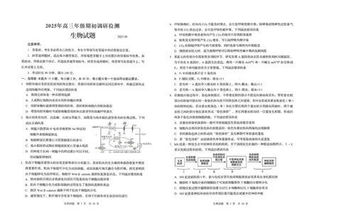 生物试题_2025年9月_250917山东省青岛市2026届高三上学期期初调研检测（全科）_山东省青岛市2026届高三上学期期初调研检测生物试卷（含答案）