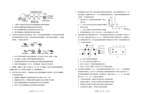 生物试题_2025年9月_250917山东省青岛市2026届高三上学期期初调研检测（全科）_山东省青岛市2026届高三上学期期初调研检测生物试卷（含答案）