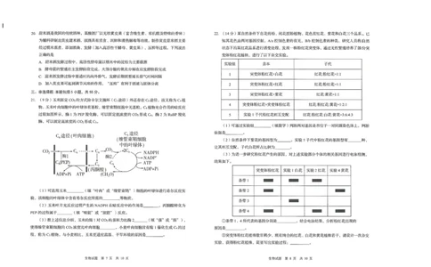 生物试题_2025年9月_250917山东省青岛市2026届高三上学期期初调研检测（全科）_山东省青岛市2026届高三上学期期初调研检测生物试卷（含答案）