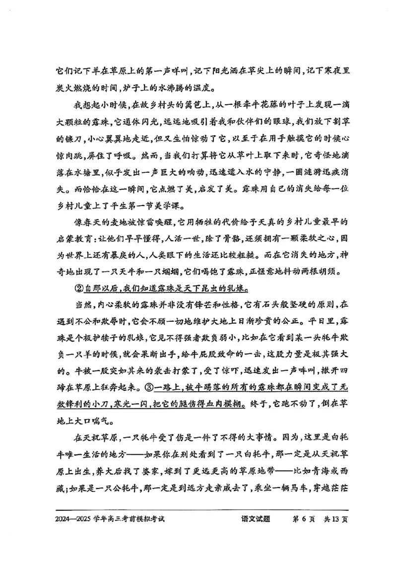 语文试卷_2025年5月_2505232025届河南省天一大联考高三考前模拟预测（全科）_河南省2024-2025学年天一大联考高三考前模拟考试语文