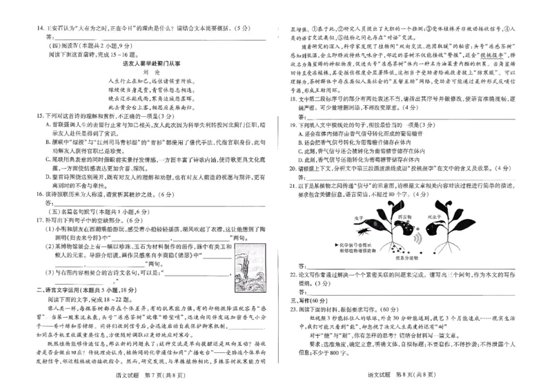 语文试卷_2025年9月_250920河南省天一大联考2026届高三上学期调研考试（全科）_河南省天一大联考2026届高三上学期调研考试语文试卷（含答案）