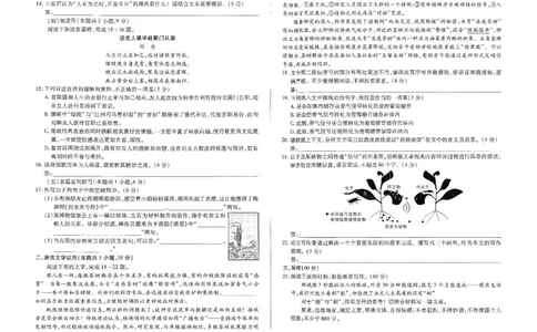 语文试卷_2025年9月_250920河南省天一大联考2026届高三上学期调研考试（全科）_河南省天一大联考2026届高三上学期调研考试语文试卷（含答案）