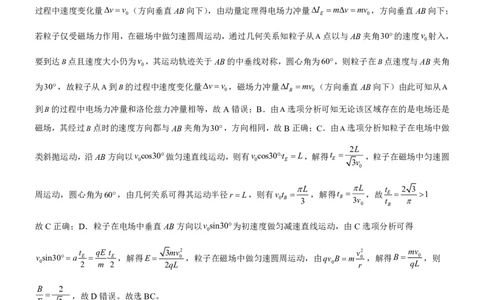 物理答案_2025年5月_250531湖北省黄石二中2025届高三下学期适应性考试（一）（全科）_黄石二中2025届高三下学期适应性考试（一）物理