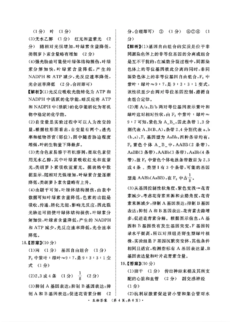 河南省青桐鸣2025届高三2月联考生物+答案_2025年2月_250217河南省青桐鸣2025届高三2月联考（全科）