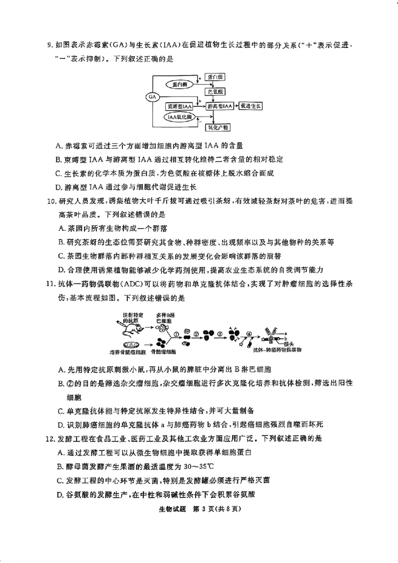 河南省青桐鸣2025届高三2月联考生物+答案_2025年2月_250217河南省青桐鸣2025届高三2月联考（全科）