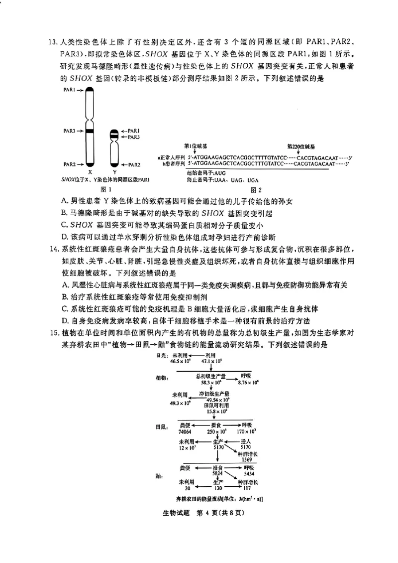 河南省青桐鸣2025届高三2月联考生物+答案_2025年2月_250217河南省青桐鸣2025届高三2月联考（全科）