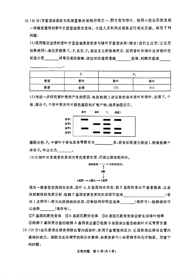河南省青桐鸣2025届高三2月联考生物+答案_2025年2月_250217河南省青桐鸣2025届高三2月联考（全科）