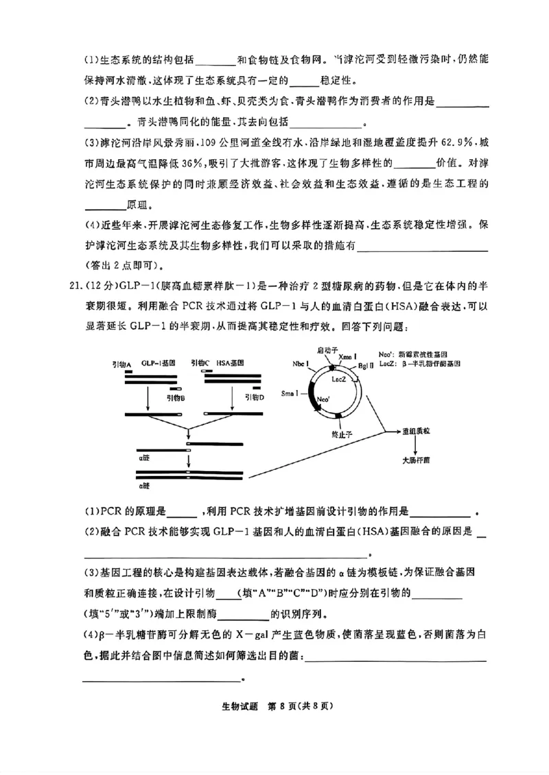 河南省青桐鸣2025届高三2月联考生物+答案_2025年2月_250217河南省青桐鸣2025届高三2月联考（全科）