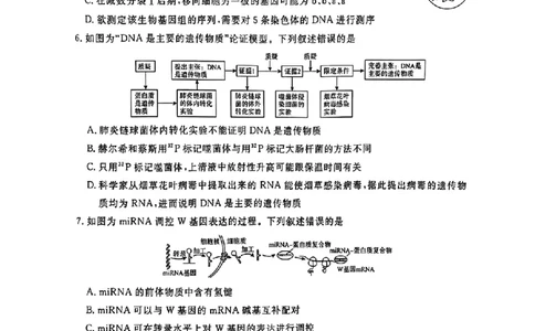 河南省青桐鸣2025届高三2月联考生物+答案_2025年2月_250217河南省青桐鸣2025届高三2月联考（全科）