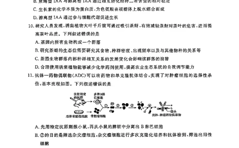 河南省青桐鸣2025届高三2月联考生物+答案_2025年2月_250217河南省青桐鸣2025届高三2月联考（全科）