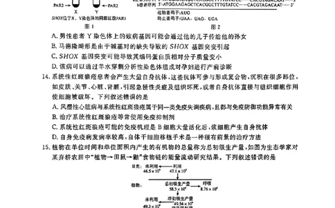 河南省青桐鸣2025届高三2月联考生物+答案_2025年2月_250217河南省青桐鸣2025届高三2月联考（全科）