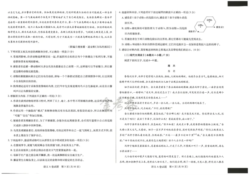 2024年天星高考临考预测押题密卷新教材文科卷（语文_2024高考押题卷_12024天星全系列_@@@天星临考押题密卷汇总重复_2024年tx高考临考押题密卷新教材全国版文科