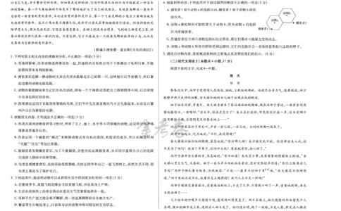 2024年天星高考临考预测押题密卷新教材文科卷（语文_2024高考押题卷_12024天星全系列_@@@天星临考押题密卷汇总重复_2024年tx高考临考押题密卷新教材全国版文科