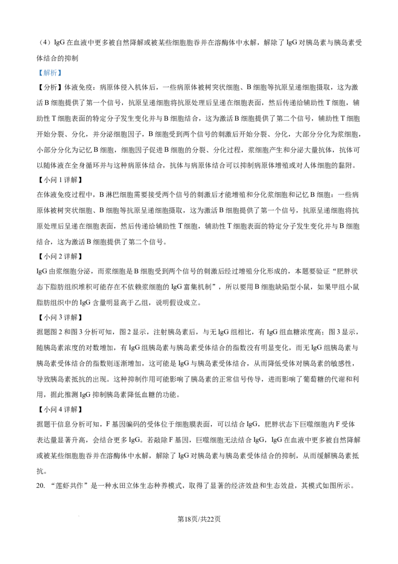 精品解析：江西省吉安市七校联考2025-2026学年高三上学期10月月考生物试题（解析版）_2025年10月_251016江西省西路七校2025-2026学年高三上学期10月第一次联考