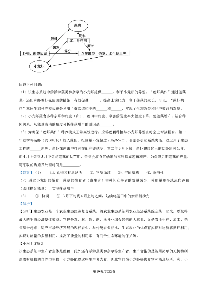 精品解析：江西省吉安市七校联考2025-2026学年高三上学期10月月考生物试题（解析版）_2025年10月_251016江西省西路七校2025-2026学年高三上学期10月第一次联考