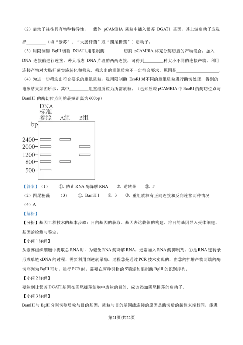 精品解析：江西省吉安市七校联考2025-2026学年高三上学期10月月考生物试题（解析版）_2025年10月_251016江西省西路七校2025-2026学年高三上学期10月第一次联考