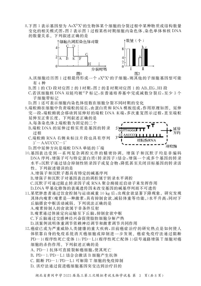 湖北省黄冈中学2025届高三第三次模拟考试生物_2025年5月_250527湖北省黄冈中学2025届高三第三次模拟考试（全科）