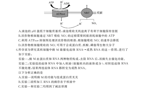 湖北省黄冈中学2025届高三第三次模拟考试生物_2025年5月_250527湖北省黄冈中学2025届高三第三次模拟考试（全科）