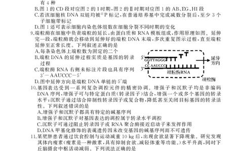 湖北省黄冈中学2025届高三第三次模拟考试生物_2025年5月_250527湖北省黄冈中学2025届高三第三次模拟考试（全科）