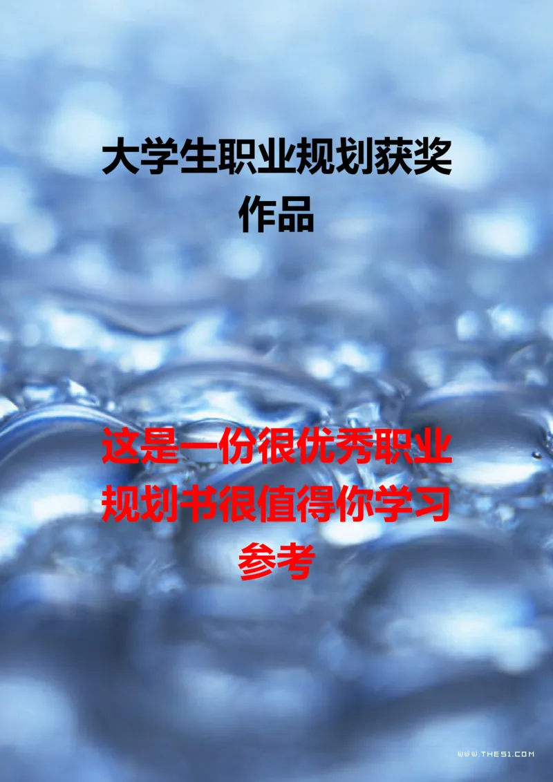 02职业生涯规划_E6-职业规划_95通用范本