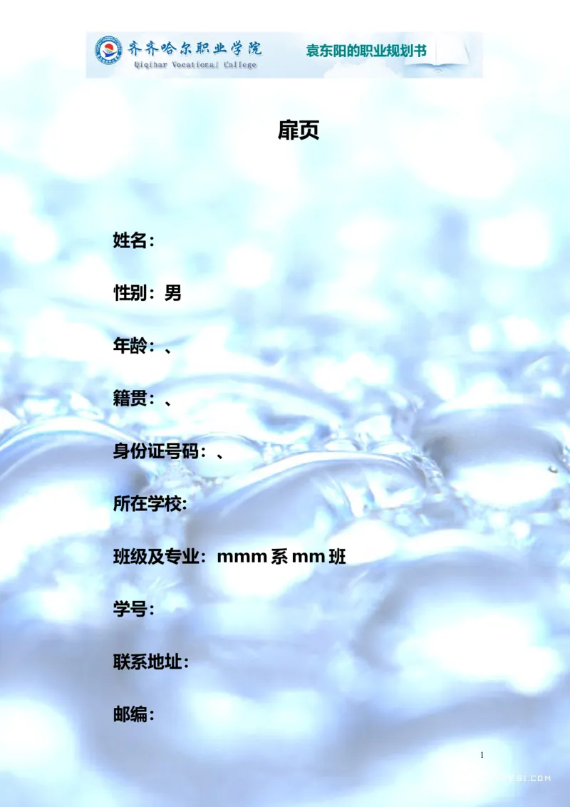 02职业生涯规划_E6-职业规划_95通用范本