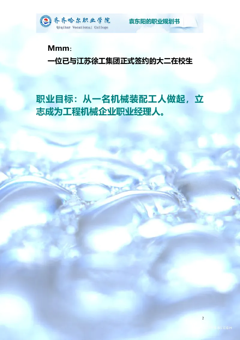 02职业生涯规划_E6-职业规划_95通用范本