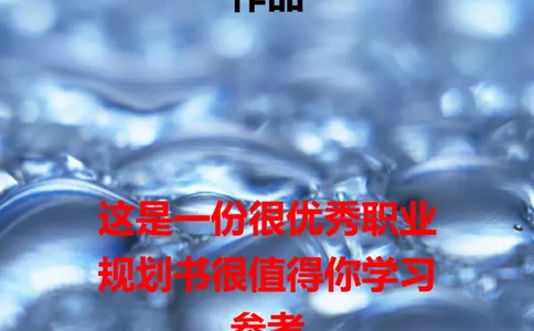 02职业生涯规划_E6-职业规划_95通用范本