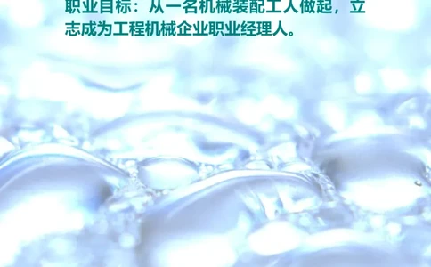 02职业生涯规划_E6-职业规划_95通用范本