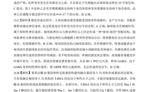 百师联盟2025届高三二轮复习联考（一）（百G）生物答案_2025年3月_250329百师联盟2025届高三二轮复习联考（一）（全科）_百师联盟2025届高三二轮复习联考（一）生物