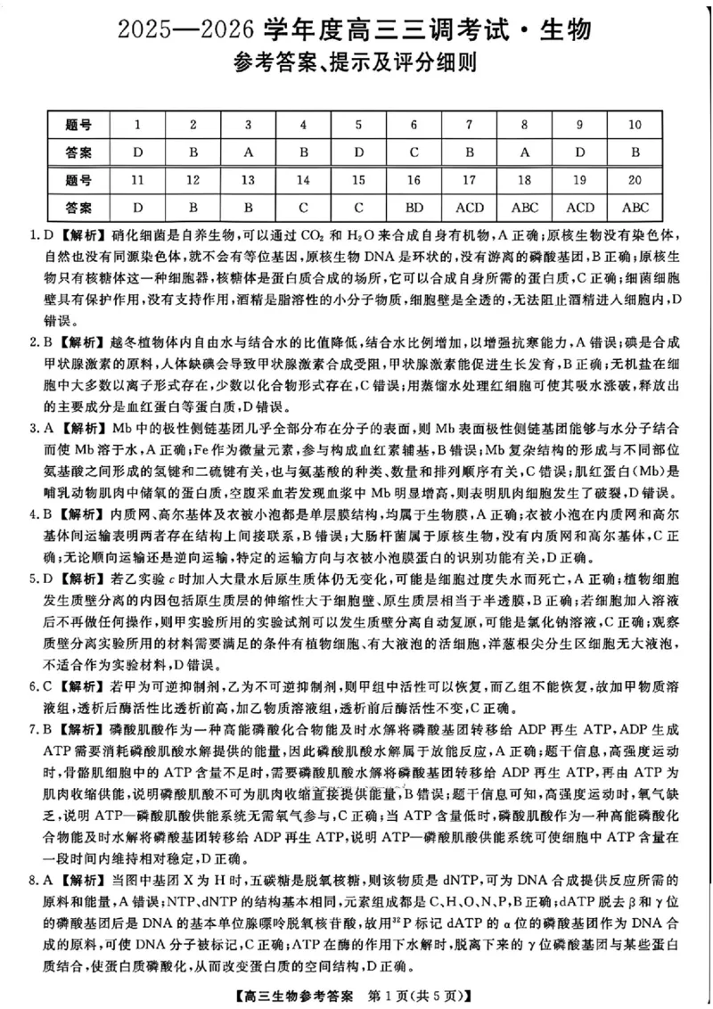 河北省衡水市2025-2026学年高三上学期第三次调研考试（26008C）生物答案_2025年10月_251001河北省衡水市2025-2026学年高三上学期第三次调研考试（26008C）