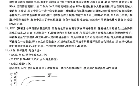 河北省衡水市2025-2026学年高三上学期第三次调研考试（26008C）生物答案_2025年10月_251001河北省衡水市2025-2026学年高三上学期第三次调研考试（26008C）