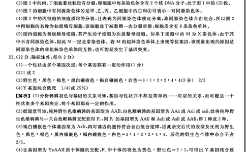 河北省衡水市2025-2026学年高三上学期第三次调研考试（26008C）生物答案_2025年10月_251001河北省衡水市2025-2026学年高三上学期第三次调研考试（26008C）