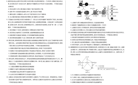 生物学-四川省天一&云数(金榜智胜)大联考2025-2026学年高三年级第一次监测_2025年9月_250907天一&云数(金榜智胜)大联考四川省2025-2026学年高三年级第一次监测（全科）